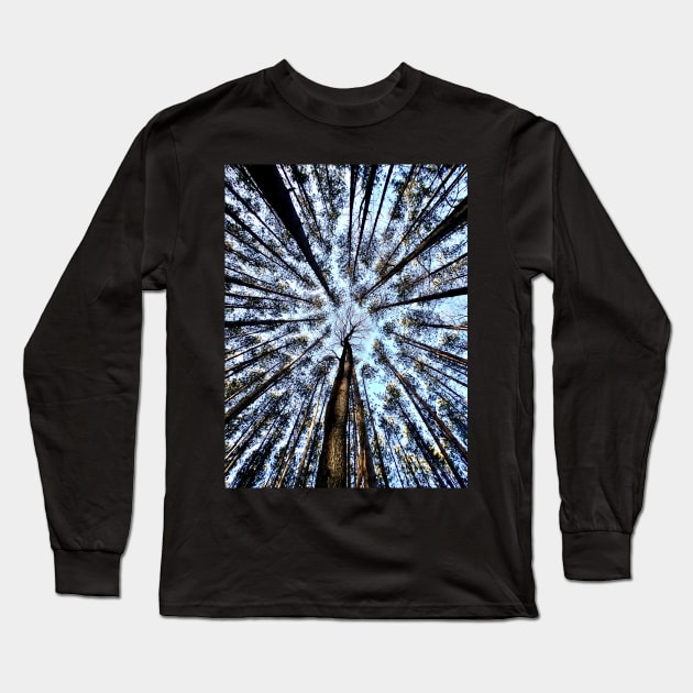 Looking up (Trees) Long Sleeve T-Shirt by ShootFirstNYC